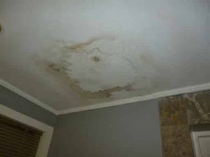 Mould growth on the ceiling